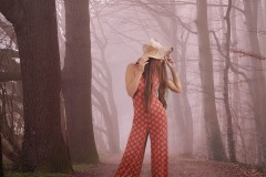 Model-in-forest